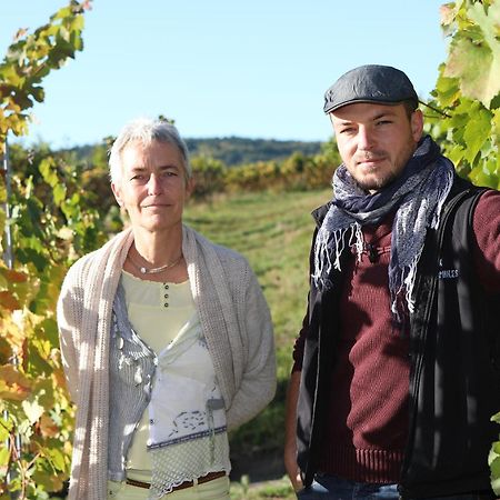 مبيت وإفطار سانت هيبوليت Sylvie Fahrer Et Fils المظهر الخارجي الصورة